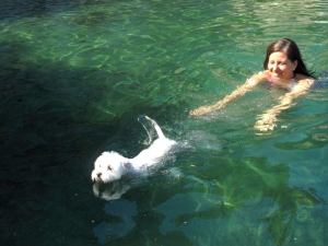 Swimming in Ischia